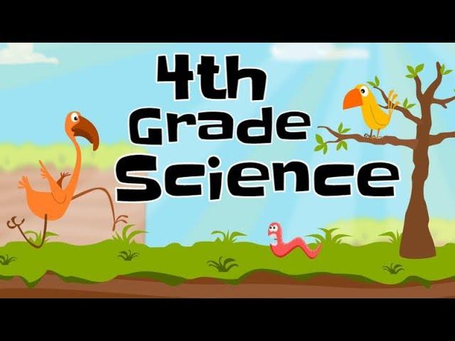 4th Grade Science Compilation