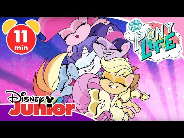  My Little Pony: Pony Life - Clip: Die schönsten Pony-Geschichten | Disney Junior