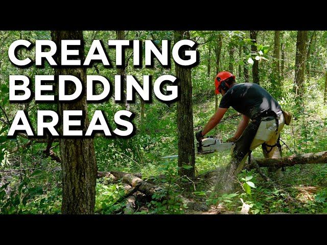 Converting Young Forest To Bedding Areas