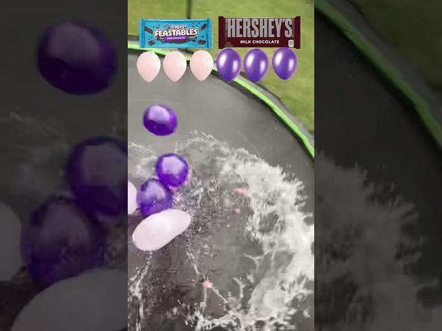 Which Is Better, Feastables Or Hersheys?!#shorts #asmr