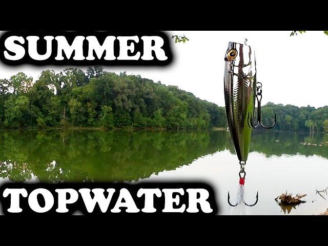 Realistic Bass Fishing with Topwater Lures! Best Time To Catch Bass