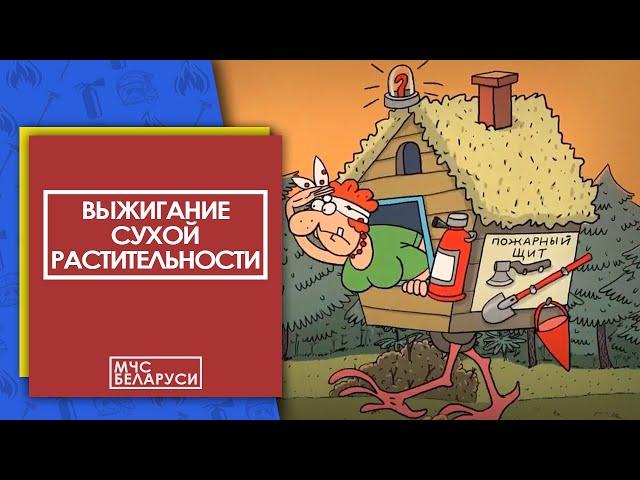 Выжигание сухой растительности (мультфильм от МЧС Беларуси)