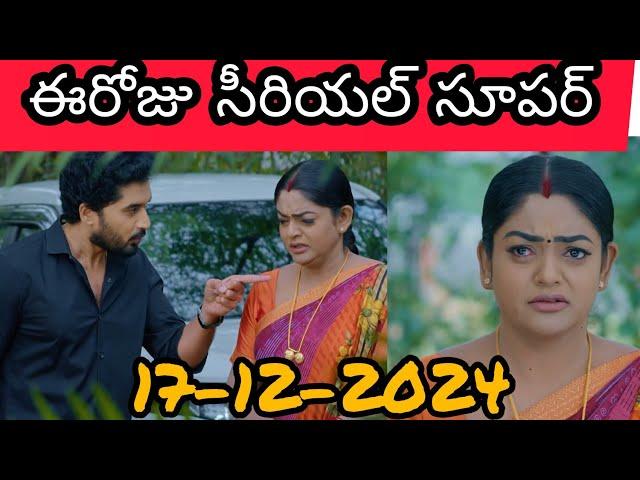 Karthika Deepam Serial Today Episode 17-12-2024 Full Video/Karthika Deepam Serial Today