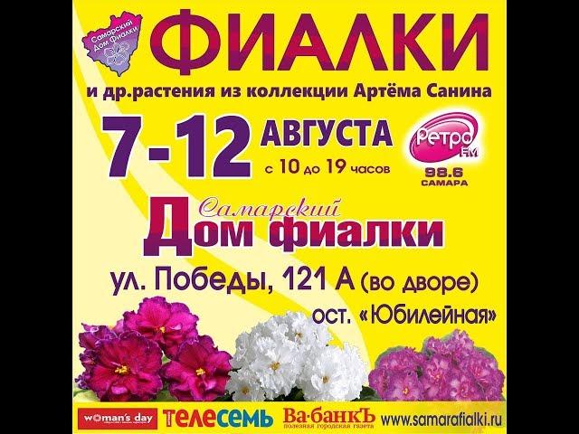 ВЫСТАВКА ФИАЛОК 07-12 августа,Самарский Дом Фиалки