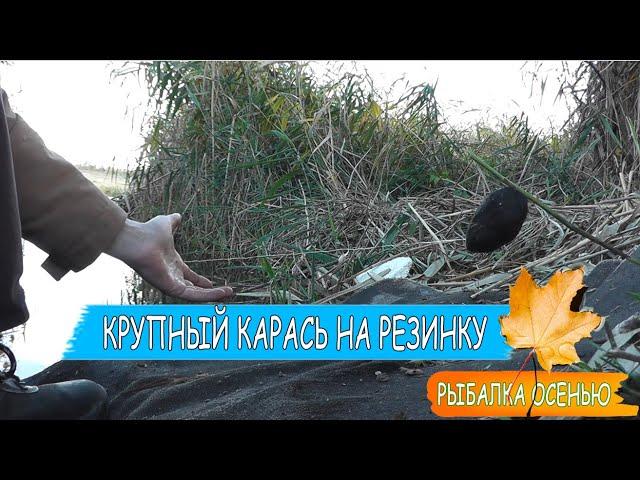 Большие караси на резинку Рыбалка осенью на карася