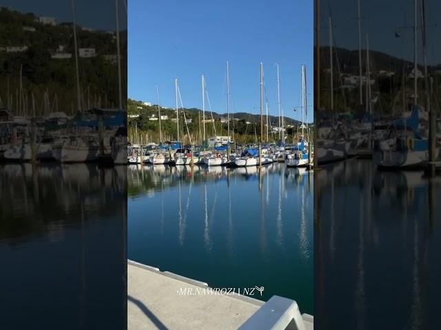 Seaview Marina, Lower Hutt, #NewZealand #huttvalleynz #lovewelly #SeaviewMarina #LowerHutt #NZ