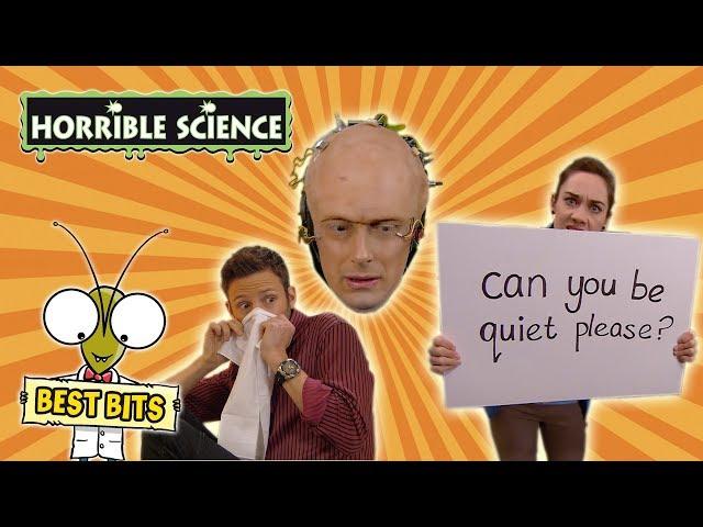 Horrible Science - Funniest Bits Part 1 | Before The Show | Science for Kids