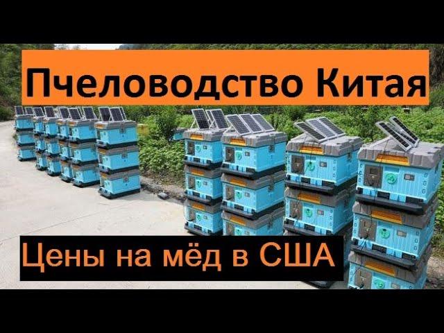 How much does a beekeeper earn in China. Wholesale prices for honey in the USA