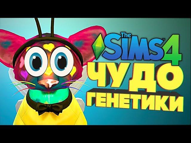 Чудо Генетики - Давно я так не смеялась! - The Sims 4 "Кошки и Собаки"