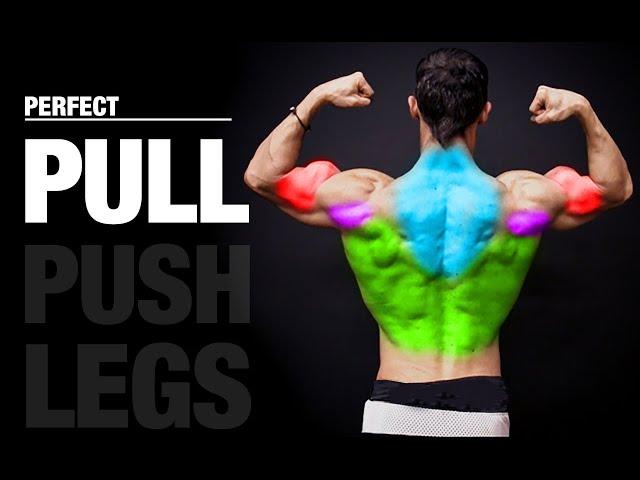 The PERFECT Pull Workout (PUSH | PULL | LEGS)