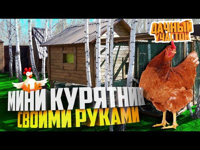 Куры несушки на даче | итоги, спустя 3 месяца | курятник своими руками