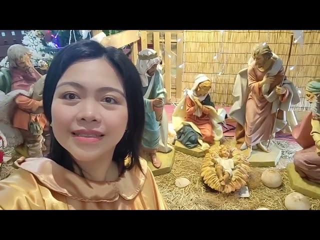 Merry Christmas Singapore #luckyrosevlogs #shortsfeed