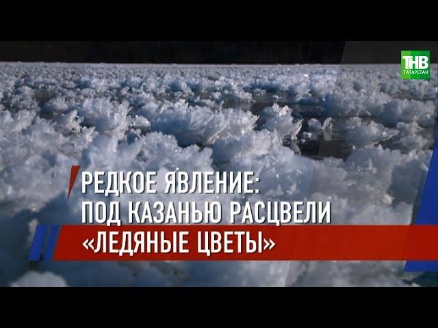 Под Казанью расцвели "ледяные цветы" | ТНВ