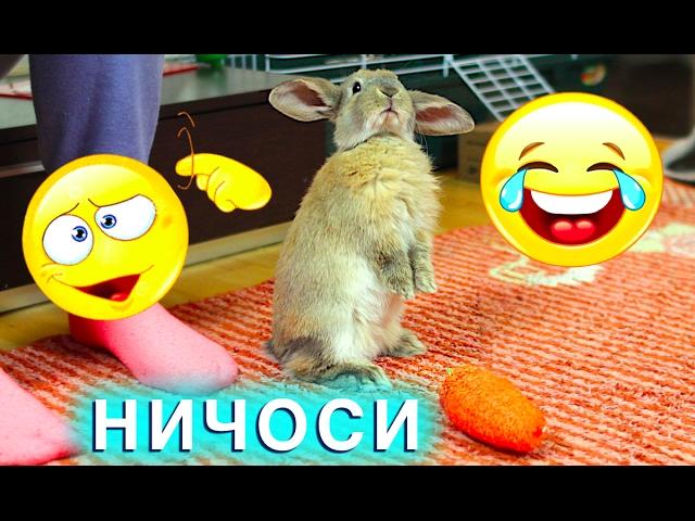 КРОЛИК СОШЕЛ С УМА? ЭЛЬЗА ИГРАЕТ БЕСИТСЯ - МАМА ПЛАЧЕТ | Elli Di Pets