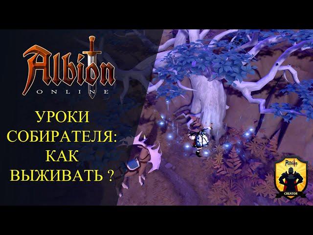 Albion online :  УРОКИ СОБИРАТЕЛЯ #1 - КАК ВЫЖИВАТЬ ? ГДЕ СОБИРАТЬ? КАК ВЫВОЗИТЬ РЕСУРСЫ?