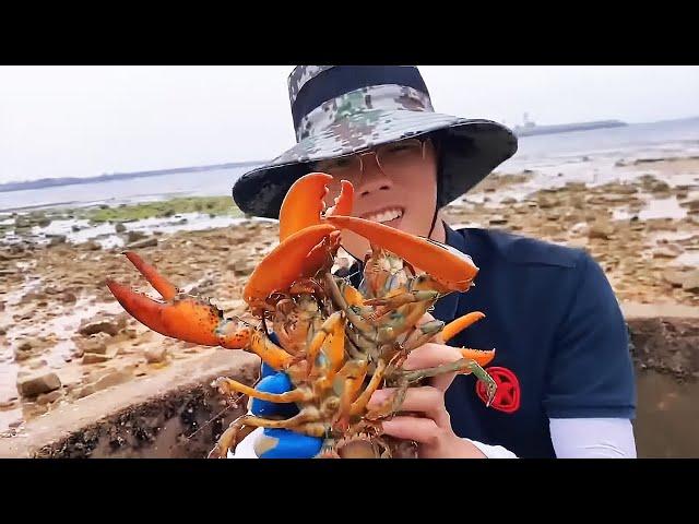 Whoaa! The king encountered a live flounder at low tide