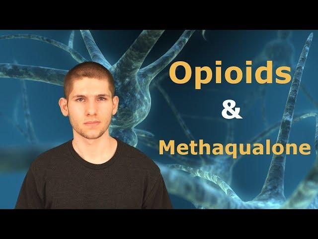 What Quaalude Tells Us About The "Opioid Epidemic"