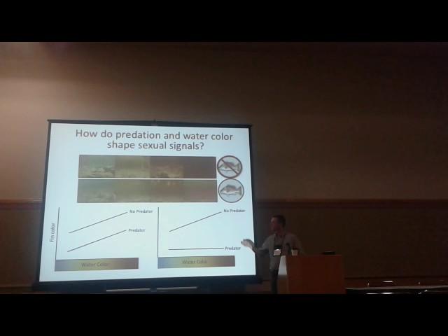 Giery: Evolutionary ecology of sexual communication in Bahamian mosquitofish