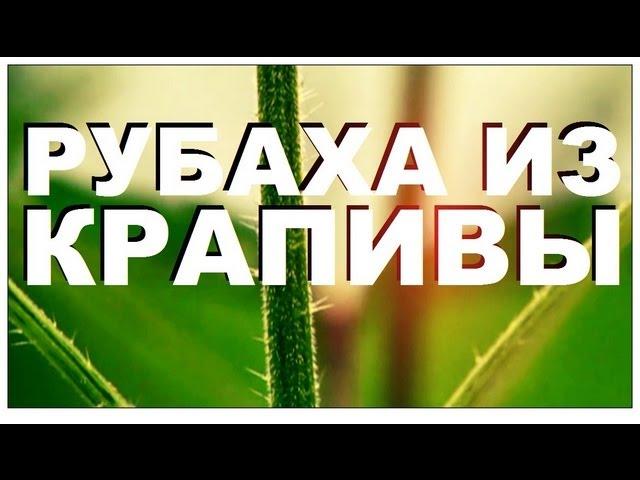 Галилео. Рубаха из крапивы