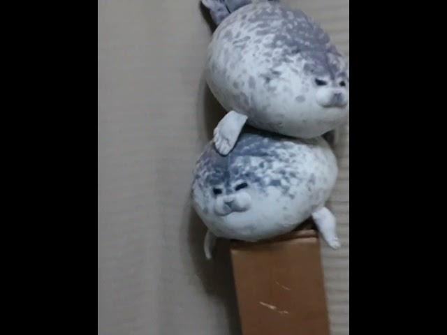 Chonky Seal Tower!