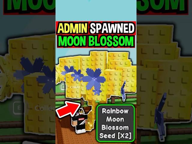 ADMIN SPAWNED MOON BLOSSOM in Roblox Grow a Garden..