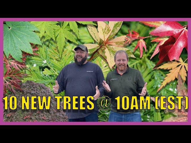 Super Exciting 10@10 For December 10th! Japanese Maples & Rare Plants! w/ Matt and Tim!