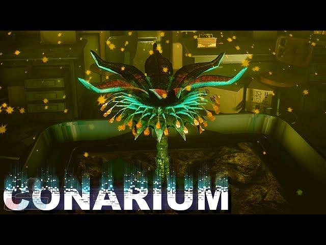 Conarium Part 2 | PC Gameplay Walkthrough | Horror Game Let's Play