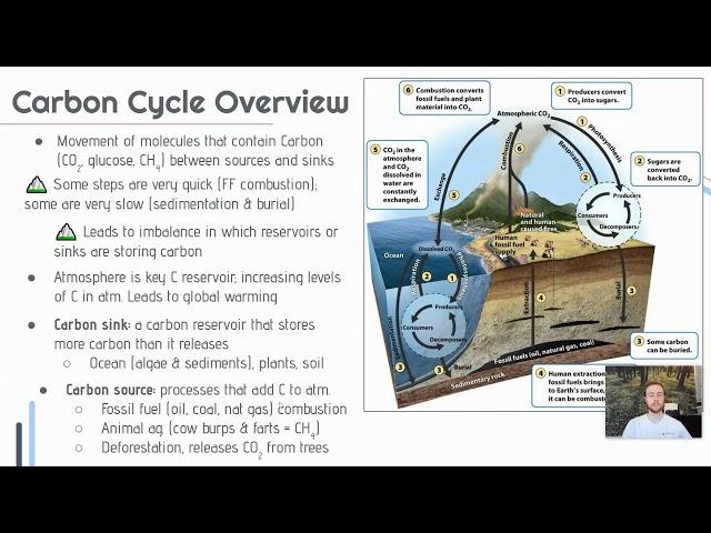 APES Video Notes 1.4 - Carbon Cycle