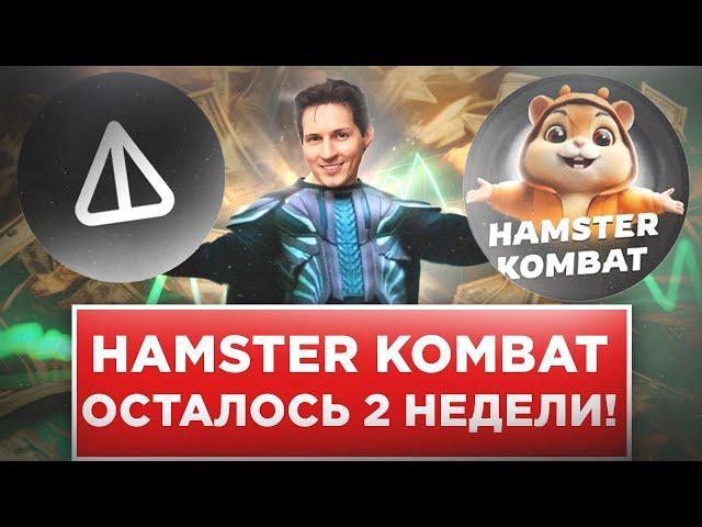 СКОРО КОНЕЦ ИГРЫ HAMSTER KOMBAT! СМОТРИ СЕЙЧАС СКОЛЬКО ТЫ ЗАРАБОТАЕШЬ!