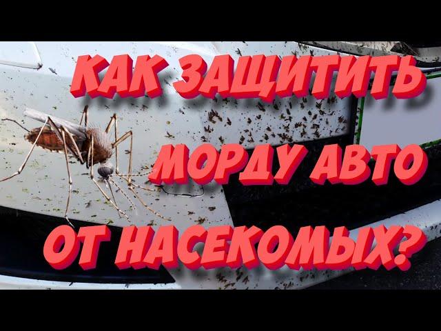 Как защитить «морду» авто от насекомых? ТОП-5 способов!