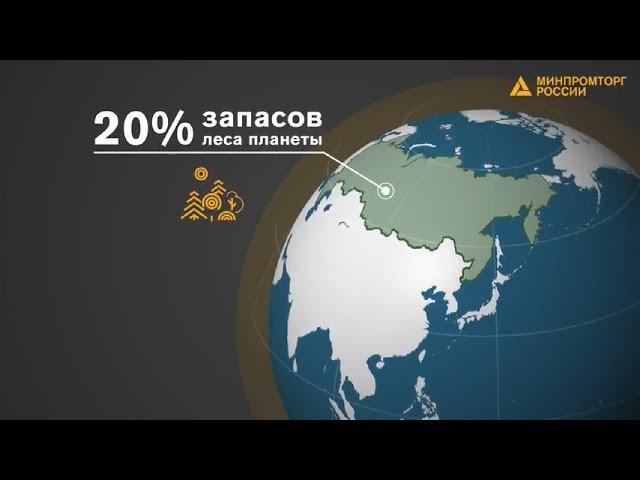 Лесопромышленный комплекс России: реалии и перспективы