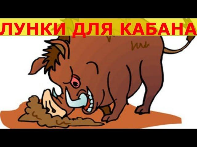 Охота на кабана. Подкормка - делаем лунки с зерном.