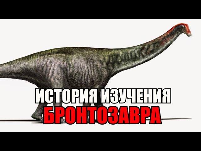 ИСТОРИЯ ДИНОЗАВРА, КОТОРОГО НЕ СУЩЕСТВОВАЛО - БРОНТОЗАВР