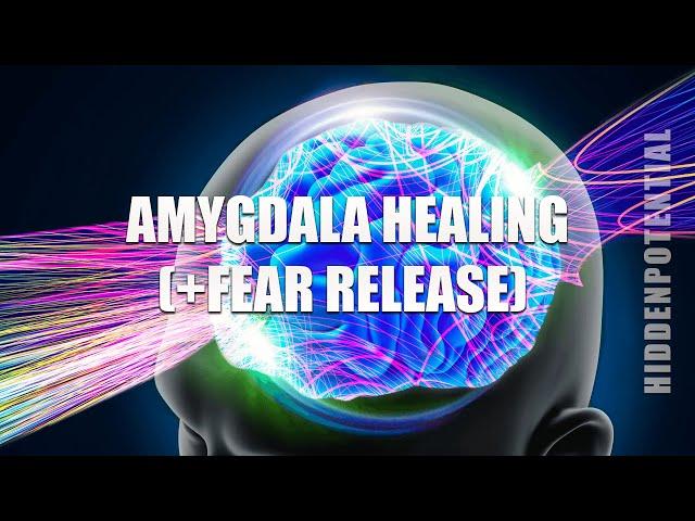 Amygdala Healing Cocktail: Cure Fear and Anxiety (Energetically Programmed Audio) Ver. 4.0