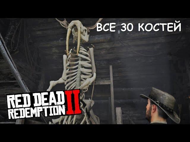 RDR 2 Все 30 КОСТЕЙ ДИНОЗАВРА