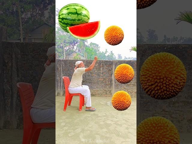 Rounding 🟠 kadambas to Grapes, Mango, lichi & Watermelon - Fruits names magic video