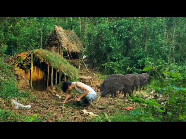 Building an Underground Shelter on Christmas: A Safe Haven from Wild Boars.