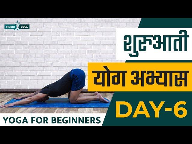 30 Days of Yoga for Beginners in Hindi - Day 6 शुरुआती योगा अभ्यास दिन 6  Siddhi Yoga