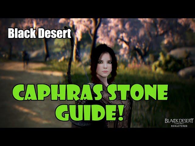 [Black Desert] Caphras Stone / Ancient Spirit Dust Guide for Beginners / New Players