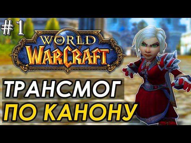 #1 Каноничный трансмог | Трансмогрификация WoW (паладин, друид, маг) | World of Warcaft