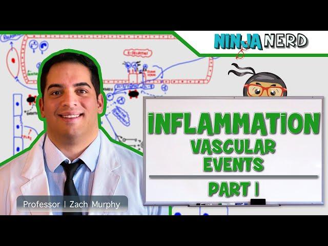 Immunology | Inflammation: Vascular Events: Part 1