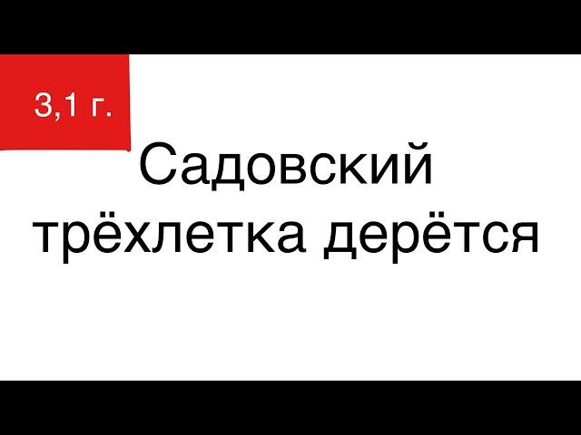 САДОВСКИЙ ТРЁХЛЕТКА ДЕРЁТСЯ