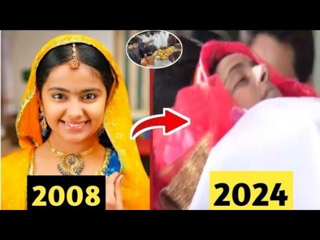 Balika Vadhu Serial Star Cast | Then & Now 2008 to 2024  Unbelievable Transformation Real Age 2024