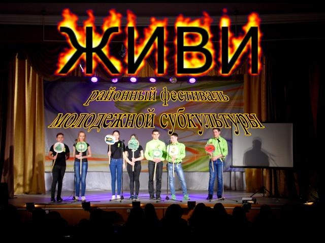 фестиваль молодежных субкультур "Живи" 4.02.2017