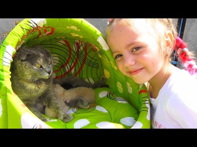 Наша КОШКА родила котят КАК НАЗВАТЬ little kittens ДОМИК для кошки и котят