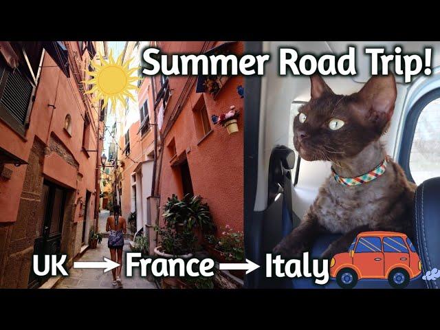 Summer Road Trip With Our Devon Rex Cat