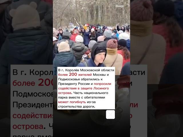 "Лосиный остров - это наша жизнь!" #хопорт - новости сегодня Москва