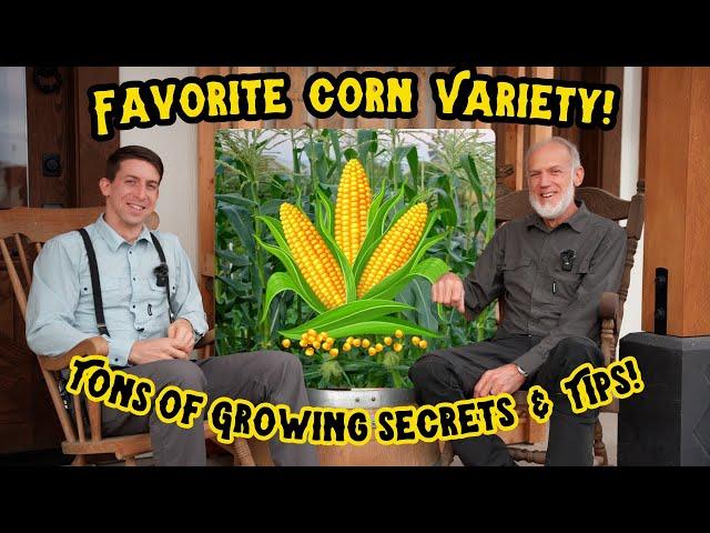 "World Record Gardener Reveals Favorite Sweet Corn! Tips & Tricks for Growing the Best Organic Corn"