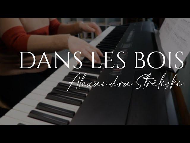 Dans les bois - Alexandra Stréliski (Piano Cover)