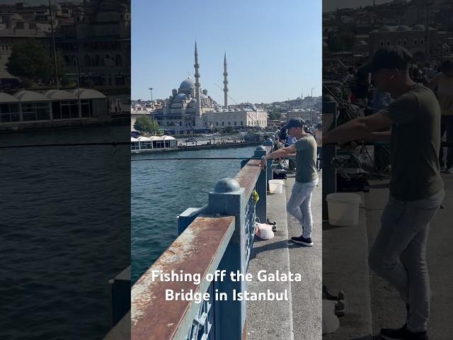 Fishing off the Galata Bridge in Istanbul